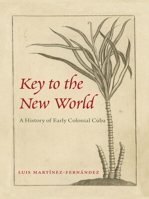 cover image of Key to the New World